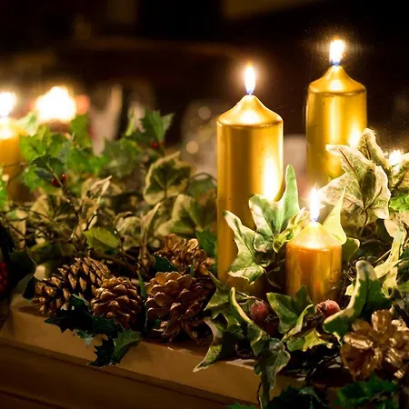 Отель The Blue Lion 3*